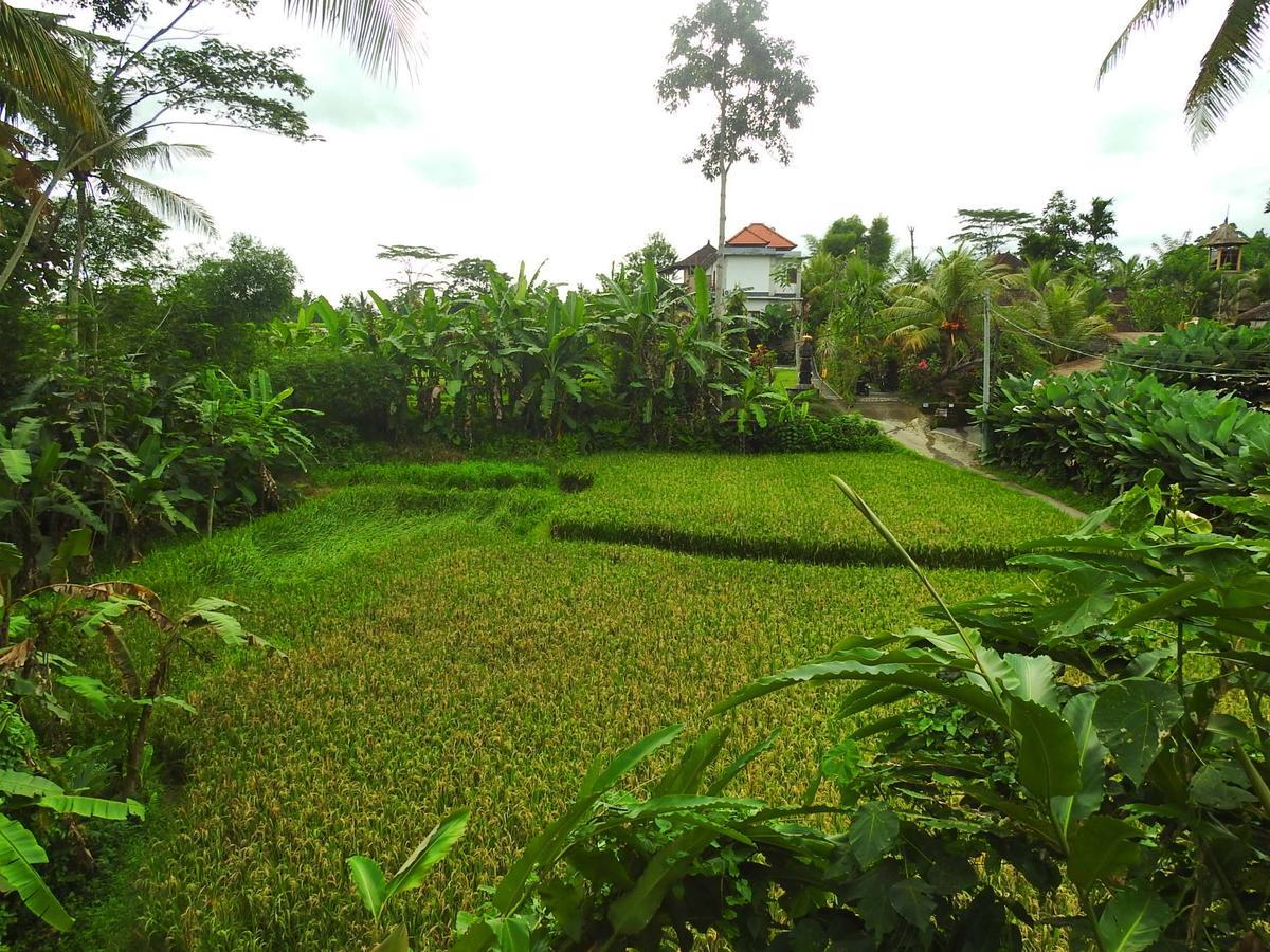 Mandala Hostel Ubud Extérieur photo