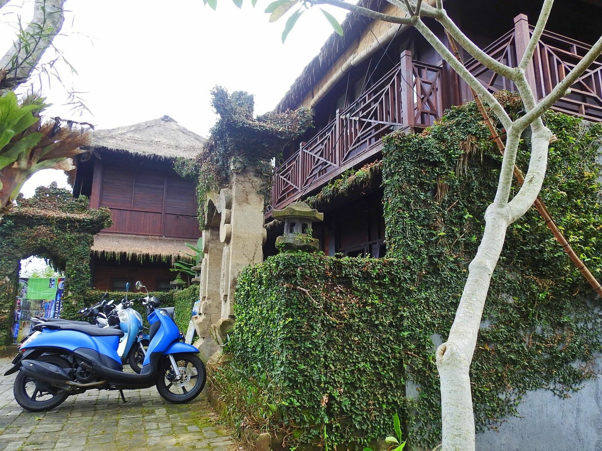 Mandala Hostel Ubud Extérieur photo